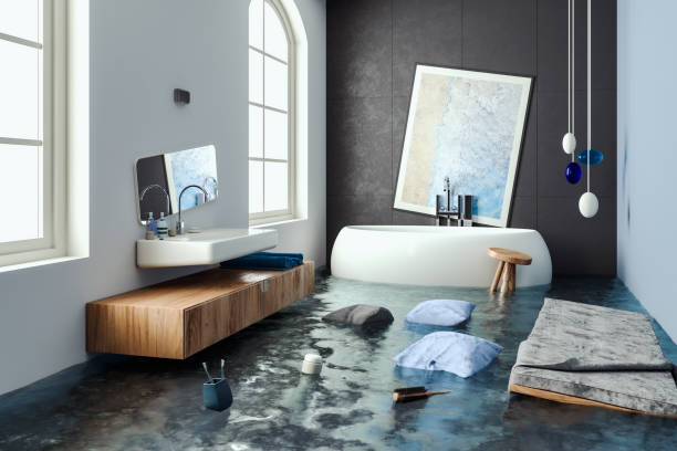 Best Professional water damage repair  in Bay City, TX