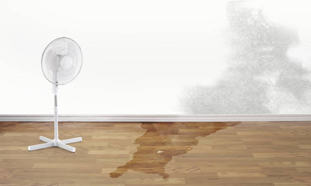 Best Sewage cleanup and water damage restoration  in Bay City, TX