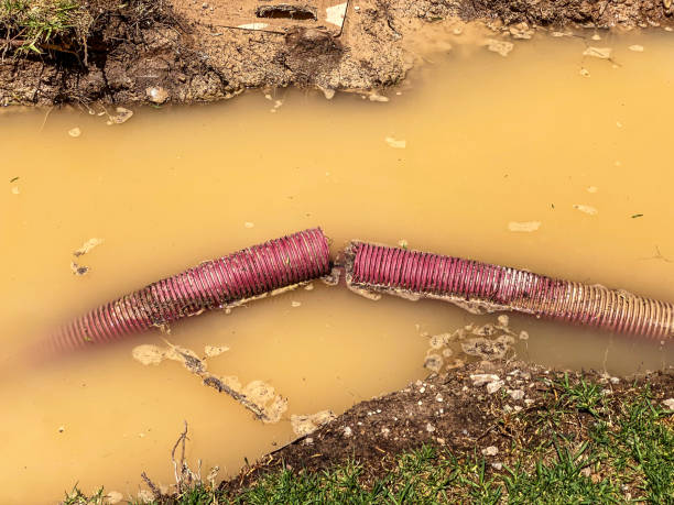 Best Water damage restoration near me  in Bay City, TX