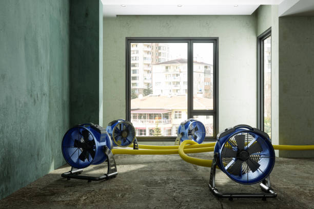 Best Emergency water damage restoration  in Bay City, TX